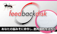 feed back disk